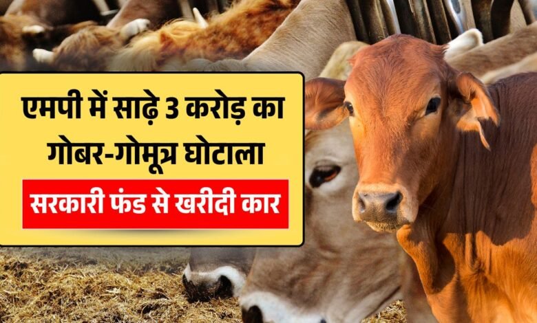 MP Gobar Gomutra Ghotala