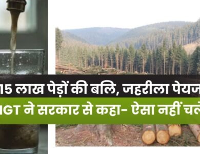 MP News: जहरीले पानी और 15 लाख पेड़ों की कटाई पर एनजीटी सख्त