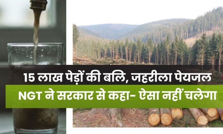 MP News: जहरीले पानी और 15 लाख पेड़ों की कटाई पर एनजीटी सख्त