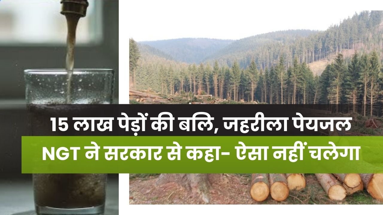 MP News: जहरीले पानी और 15 लाख पेड़ों की कटाई पर एनजीटी सख्त