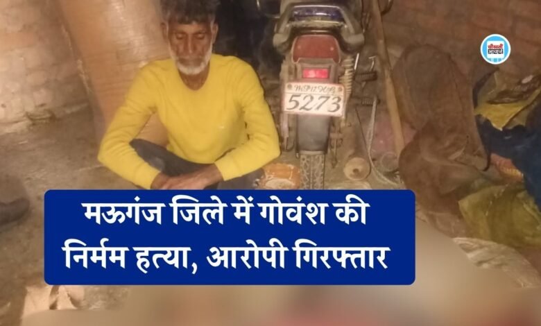 Mauganj News: मऊगंज जिले में गोवंश की निर्मम हत्या, आरोपी गिरफ्तार 10 किलो कटा मांस बरामद