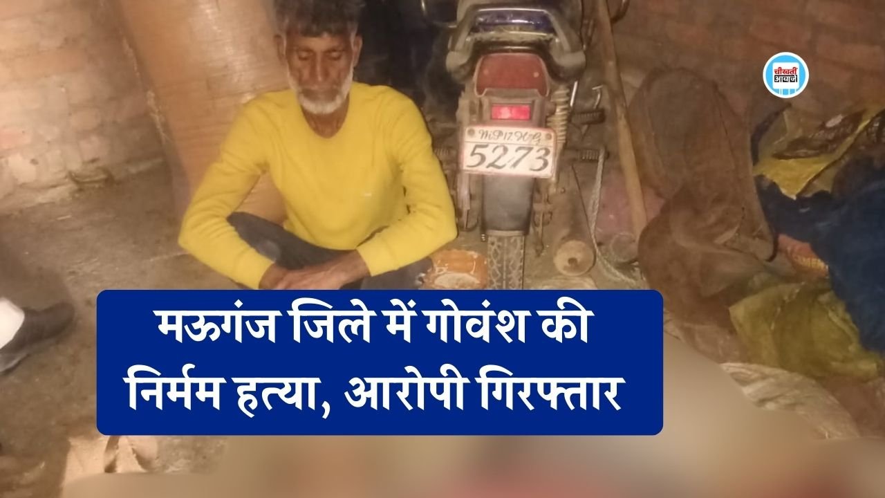 Mauganj News: मऊगंज जिले में गोवंश की निर्मम हत्या, आरोपी गिरफ्तार 10 किलो कटा मांस बरामद Mauganj News: मऊगंज जिले में गोवंश की निर्मम हत्या, आरोपी गिरफ्तार 10 किलो कटा मांस बरामद