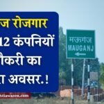 Mauganj Rojgar Mela: मऊगंज जिले में लगने जा रहा रोजगार मेला, 12 कंपनियों द्वारा होगा युवाओं का चयन