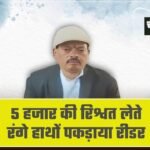 MP Lokayukta action: 5 हजार की रिश्वत लेते रंगे हाथों पकड़ाया रीडर, लोकायुक्त की बड़ी कार्रवाई