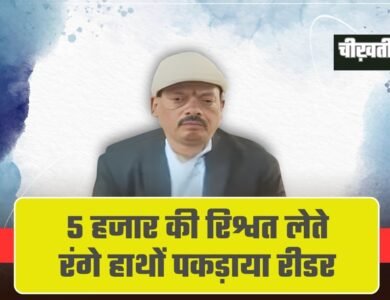 MP Lokayukta action: 5 हजार की रिश्वत लेते रंगे हाथों पकड़ाया रीडर, लोकायुक्त की बड़ी कार्रवाई
