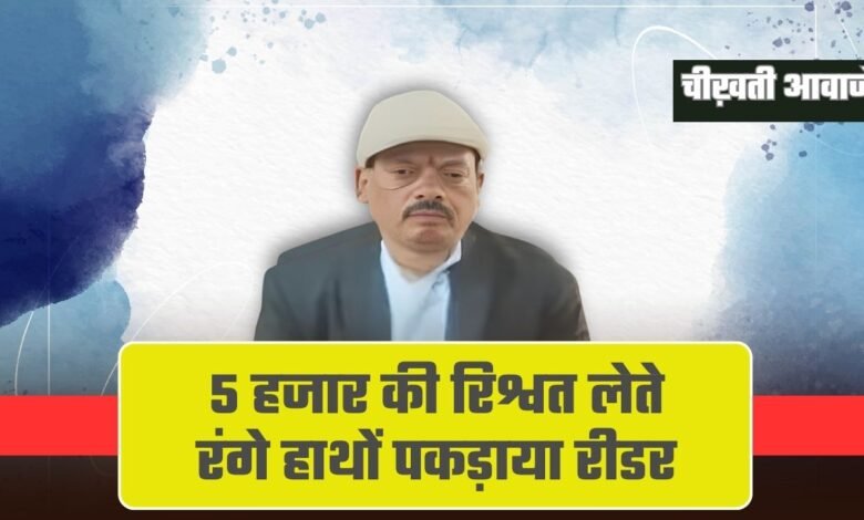MP Lokayukta action: 5 हजार की रिश्वत लेते रंगे हाथों पकड़ाया रीडर, लोकायुक्त की बड़ी कार्रवाई