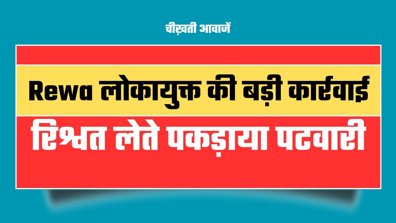 MP News: एमपी में रिश्वत लेते पकड़ाया पटवारी, Rewa लोकायुक्त की बड़ी कार्रवाई
