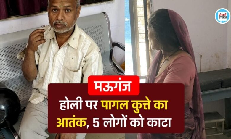 Mauganj News: मऊगंज जिले में होली पर पागल कुत्ते का आतंक, 5 लोगों पर किया हमला