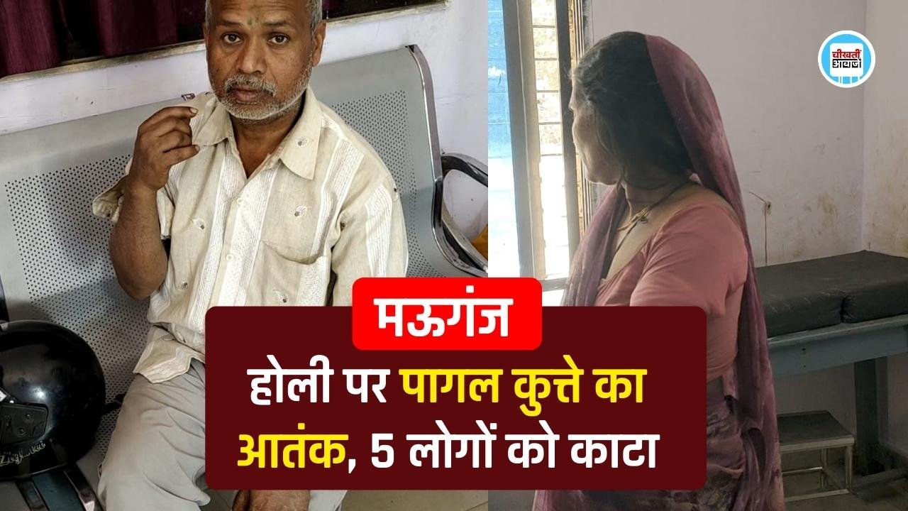 Mauganj News: मऊगंज जिले में होली पर पागल कुत्ते का आतंक, 5 लोगों पर किया हमला