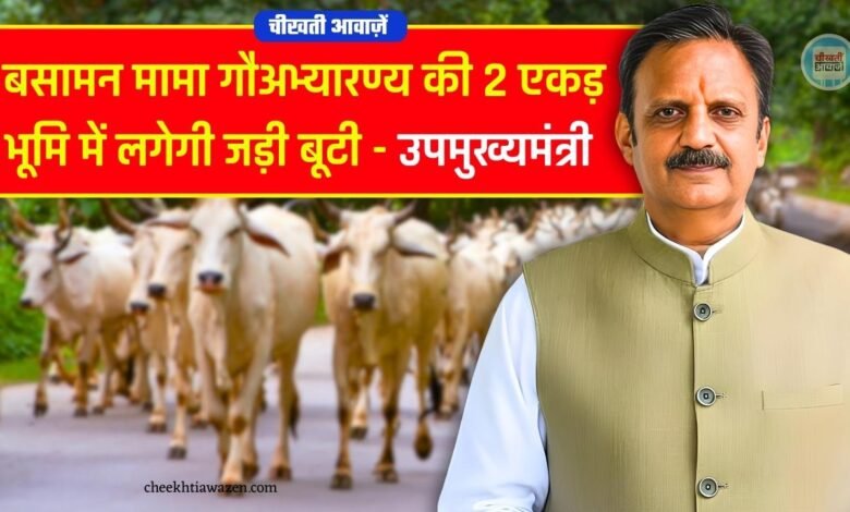 Rewa News: बसामन मामा गौअभ्यारण्य की 2 एकड़ भूमि में लगेगी जड़ी बूटी, उपमुख्यमंत्री राजेंद्र शुक्ला