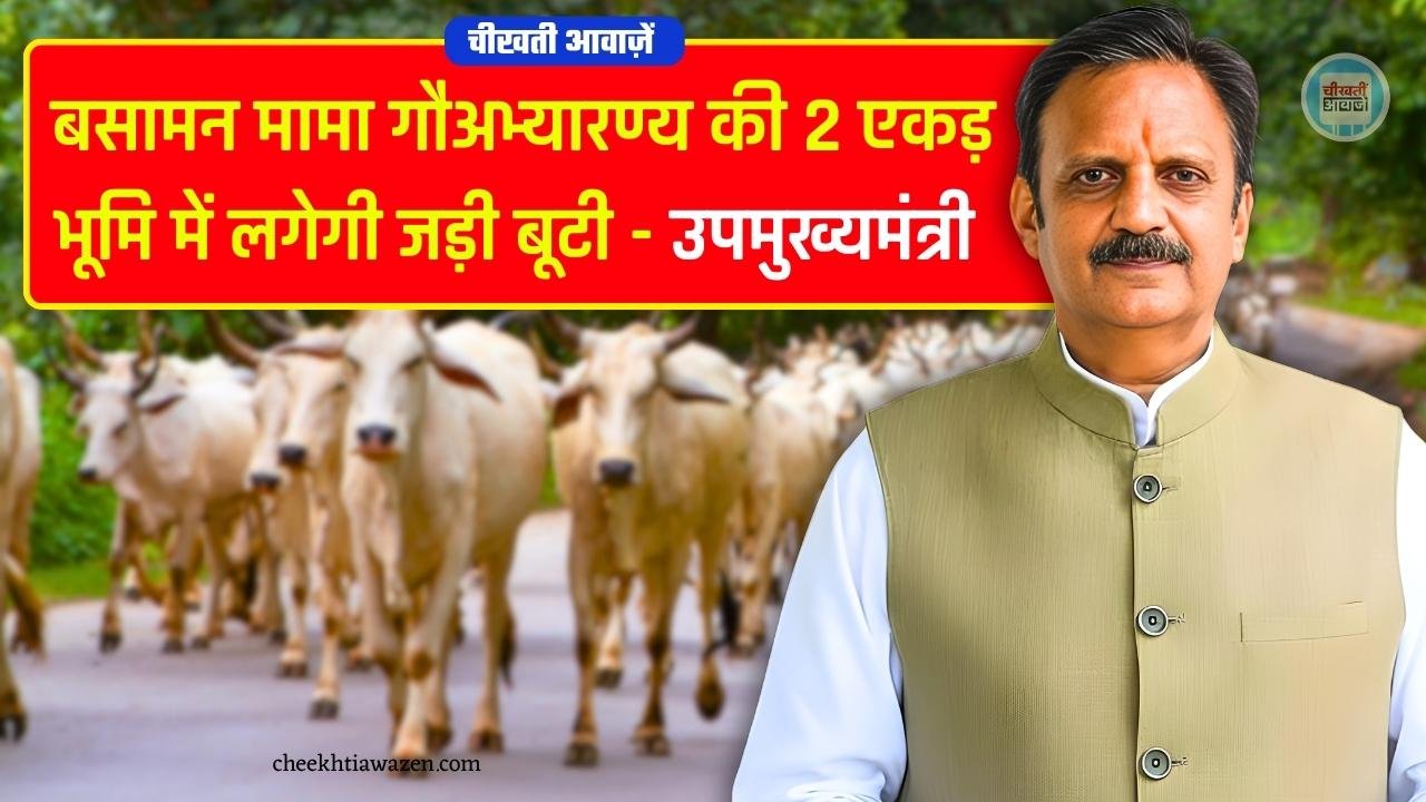 Rewa News: बसामन मामा गौअभ्यारण्य की 2 एकड़ भूमि में लगेगी जड़ी बूटी, उपमुख्यमंत्री राजेंद्र शुक्ला