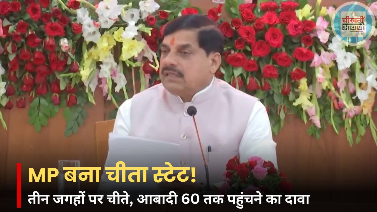 मध्य प्रदेश बना चीता स्टेट! तीन इलाकों में चीतों की मौजूदगी, आबादी 60 तक पहुंचने का दावा