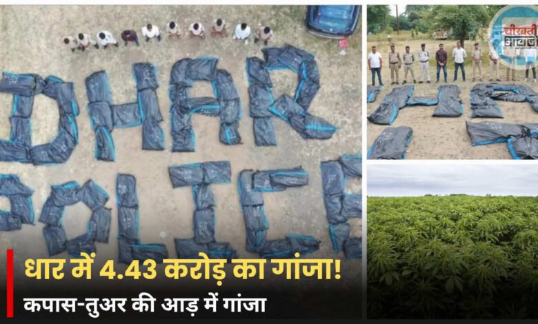 Dhar News: मध्य प्रदेश पुलिस नशीले पदार्थों के कारोबार पर लगाम कसने के लिए कई कदम उठा रही है। इसी कोशिश के तहत पुलिस ने धार जिले में बड़े पैमाने पर गांजे की अवैध खेती का पर्दाफाश किया है। जब्त किए गए गांजे की अनुमानित कीमत लगभग 4.43 करोड़ रुपये है। कपास और तुअर की फसलों के बीच छिपाकर गांजे की खेती 13 अक्टूबर को राजगढ़ पुलिस को सूचना मिली कि चौबारा गांव के पास एक जंगली इलाके में कपास और तुअर की फसलों के बीच छिपाकर गांजे की खेती की जा रही है। इस जानकारी पर तुरंत कार्रवाई करते हुए पुलिस मौके पर पहुंची और गांजे के 3345 पौधों को नष्ट कर दिया। इन पौधों का कुल वजन 3695 किलोग्राम था जिनकी अनुमानित कीमत लगभग 4.43 करोड़ रुपये है। दो दिनों तक चला सघन अभियान ASP पारुल बेलापुरकर ने बताया कि SHO समीर पाटीदार के नेतृत्व में पुलिस की एक टीम ने धार और झाबुआ जिलो की सीमा से लगे जंगली इलाके में दो दिनों तक सघन अभियान चलाया। जिसके दौरान गांजे के ये अवैध पौधे जब्त किए गए। आरोपी राजू भूरिया फिलहाल फरार है। पुलिस उसकी तलाश कर रही है और इस काम में शामिल पूरे नेटवर्क की भी जांच कर रही है। नशीले पदार्थों के खिलाफ यह अभियान पुलिस महानिदेशक कैलाश मकवाना के निर्देशों पर और पुलिस अधीक्षक सचिन शर्मा तथा एसडीओपी सरदारपुर विश्वदीप सिंह परिहार की देखरेख में चलाया गया। Read Also: Ujjain News: सिंहस्थ की जमीन पर चला बुलडोजर, हरियाणा सेवा आश्रम की चार मंजिला इमारत ध्वस्त