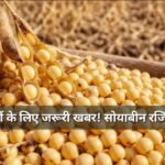 MP Soybean Registration