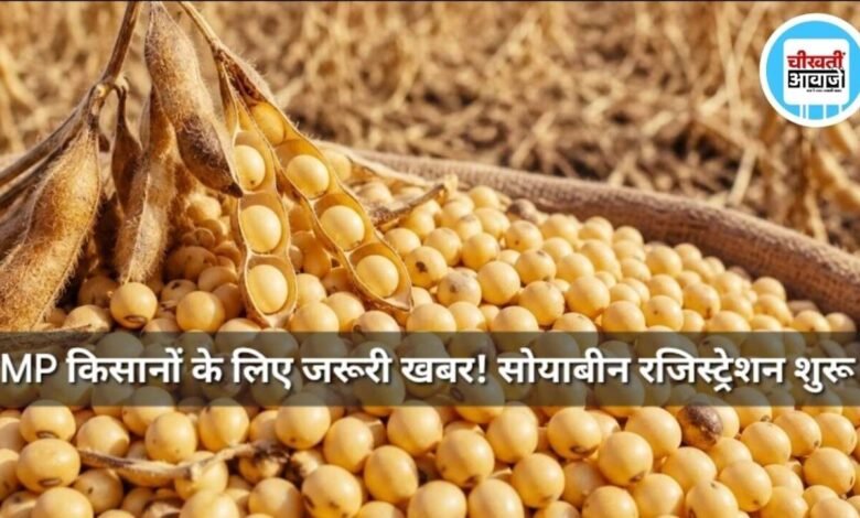 MP Soybean Registration
