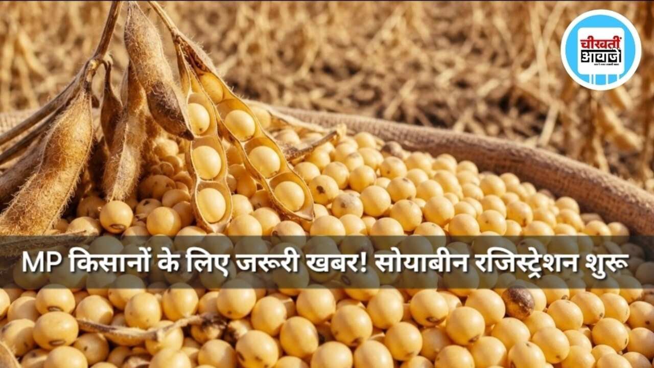 MP Soybean Registration