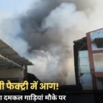 Jabalpur News: Parle-G बिस्किट फैक्ट्री में भीषण आग, 8 से ज्यादा दमकल गाड़ियां मौके पर