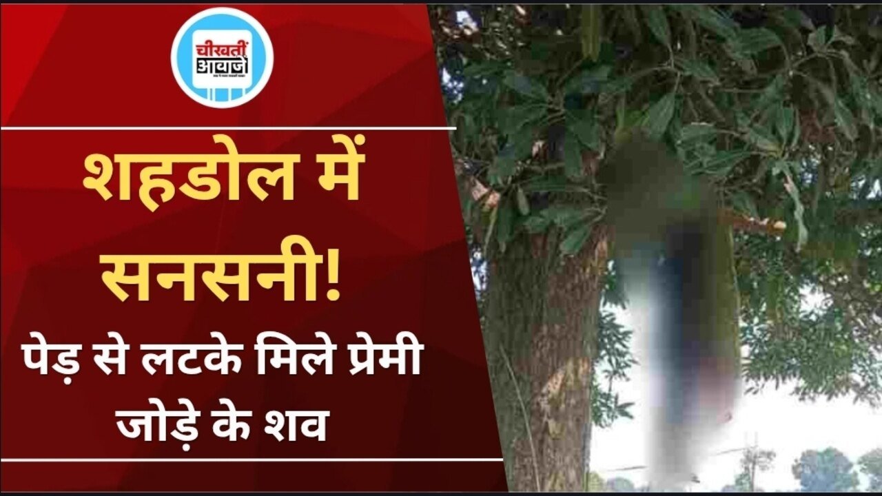 Shahdol News: शहडोल में प्रेमी जोड़े के शव पेड़ से लटके मिले, जांच में जुटी पुलिस