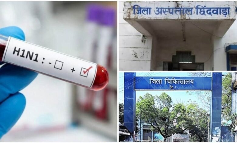 Double attack in Chhindwara: Swine flu death, 15 dengue patients found